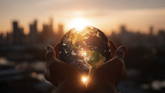 Why Shitty World exist